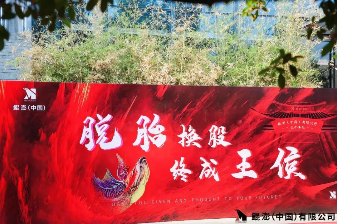 鲲澎中国在哪上市了,鲲鹏中国在美国otc市场实现转板