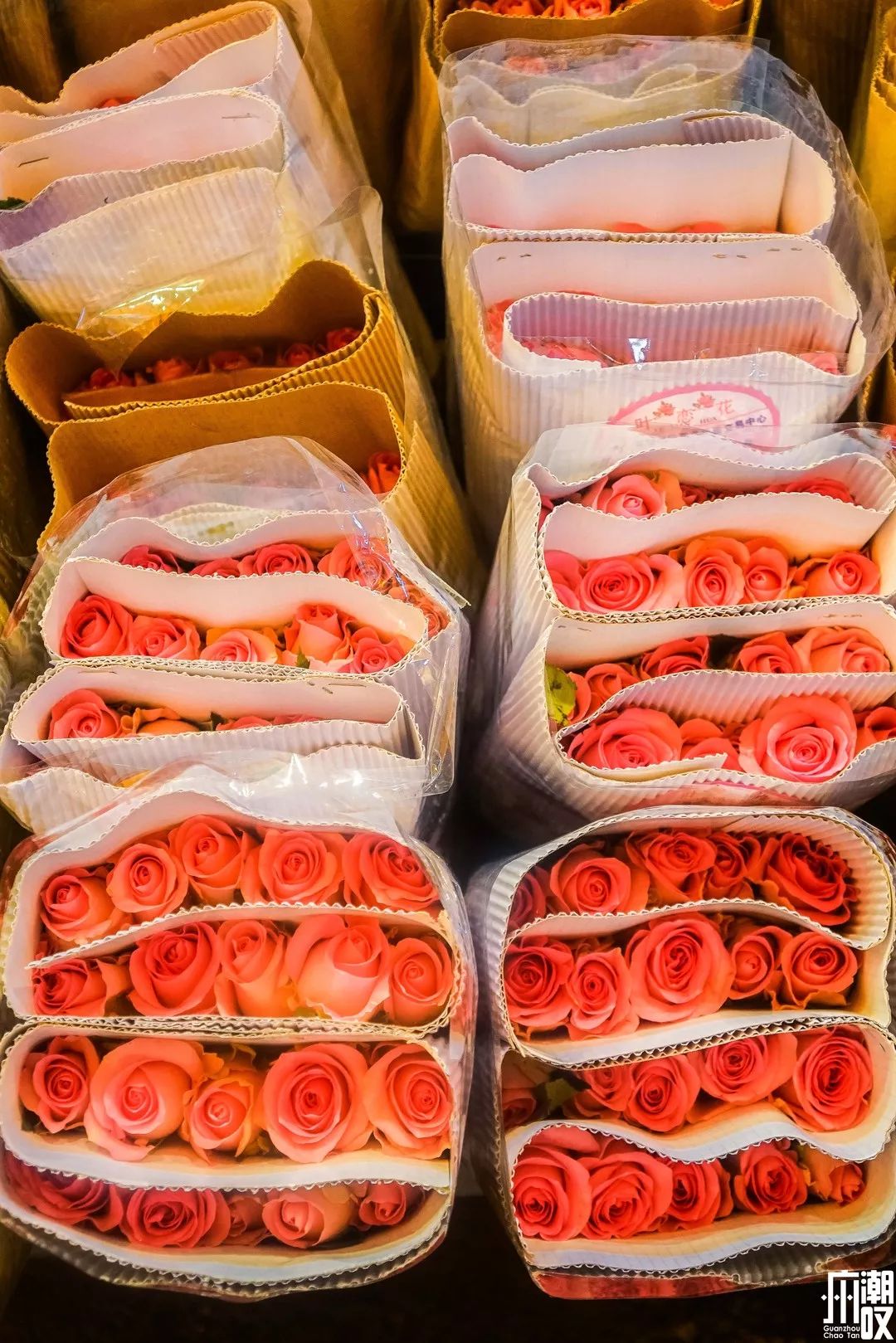 广州最大的花卉市场有哪些店,广州最便宜的花卉交易市场