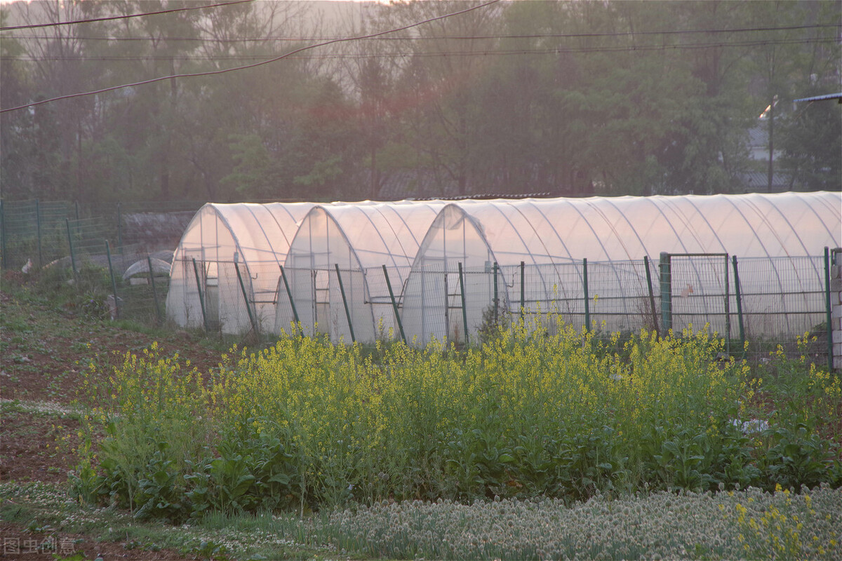 国内ufo事件未解之谜视频,中国ufo三大悬案的神秘事件