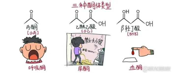 炎症生百病，谁才是它的克星？生酮饮食可以减少身体炎症