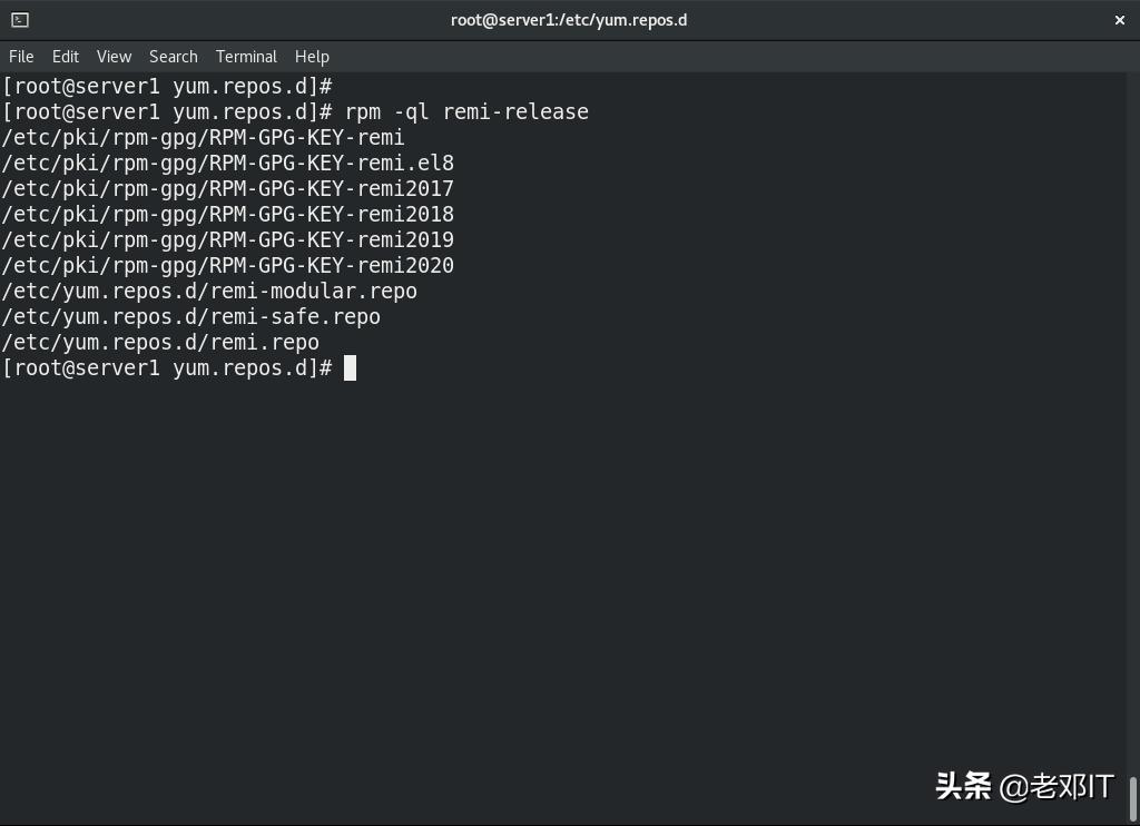 添加dnf第三方软件仓库-CentOS8.1Linux系统运维实战十