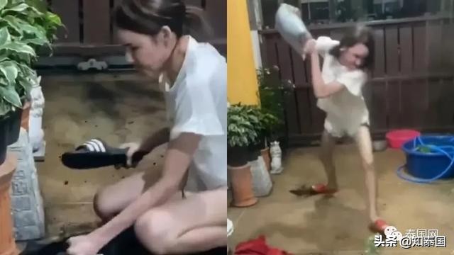 “变性人打狗”泰国热搜?比灾难更可怕的是灾难中现形的人心险恶