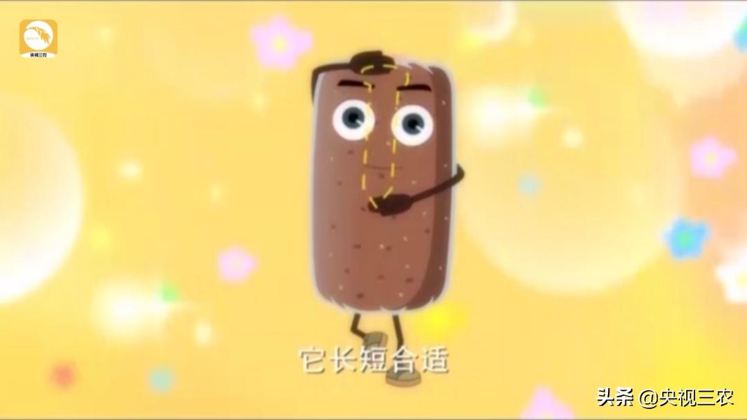 木耳一年利润多少钱,木耳赚钱案例