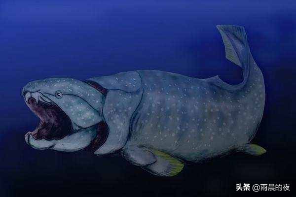 人类进化史人类起源的秘密有哪些,人类进化史人类起源的秘密是什么