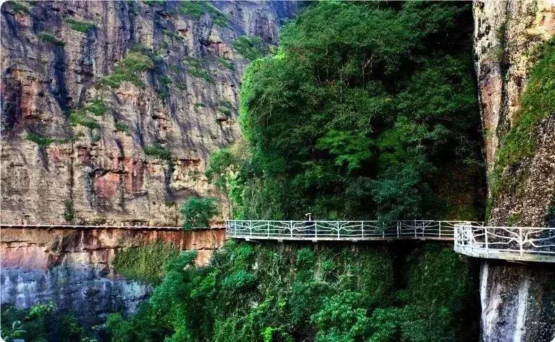 涓栫晫瀹㈤兘闀垮涔嬩埂姊呭窞,涓栫晫瀹㈤兘涓浗姊呭窞