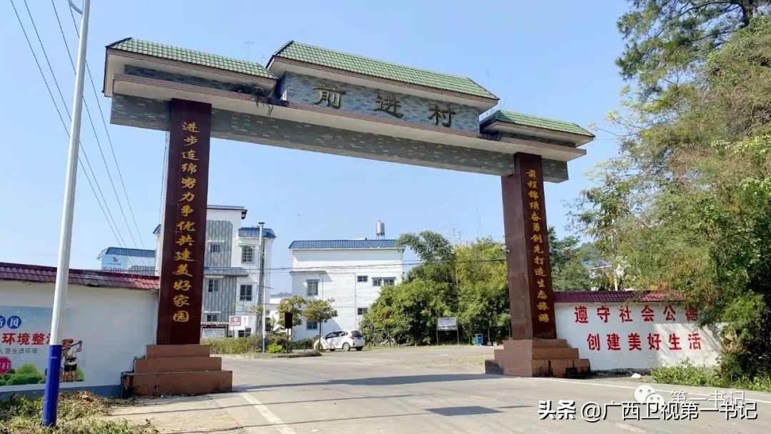 过年油腻的吃多了喝什么茶好,过年解腻消食茶