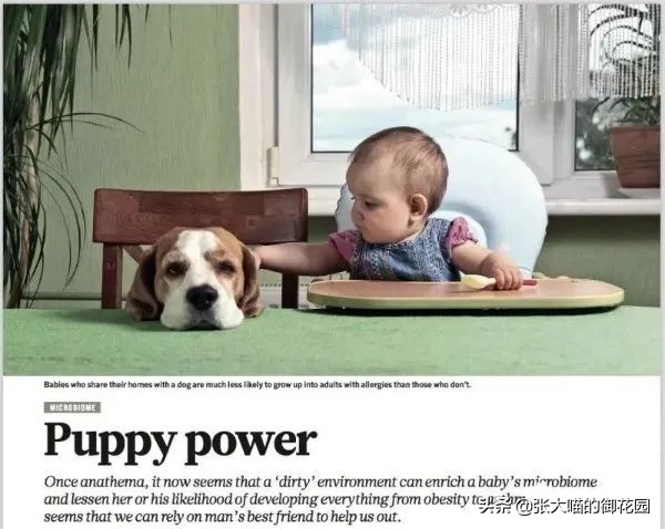 有人说养猫对生育功能有影响,养猫会提高对尘螨的免疫力么