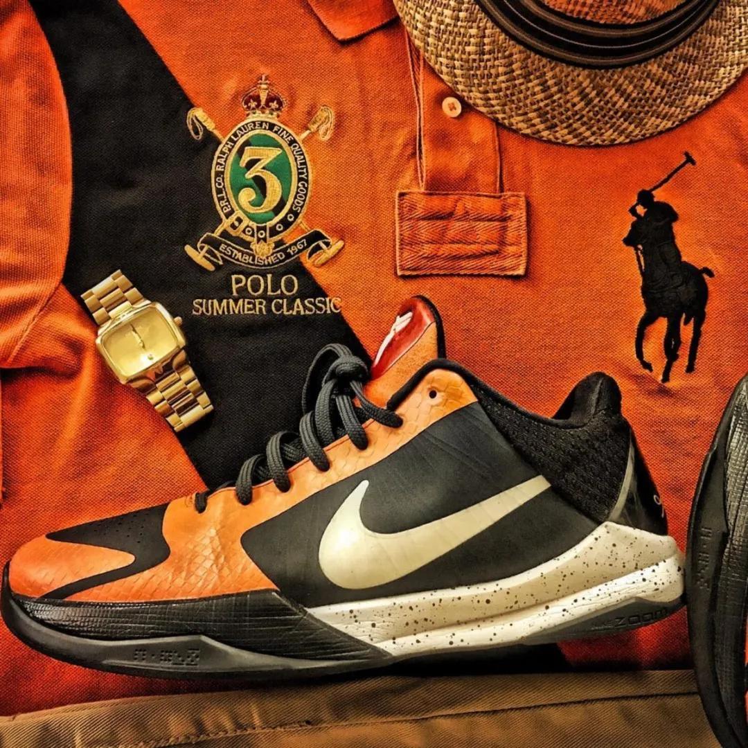 zk5五冠王紫金,zk5五冠王解说