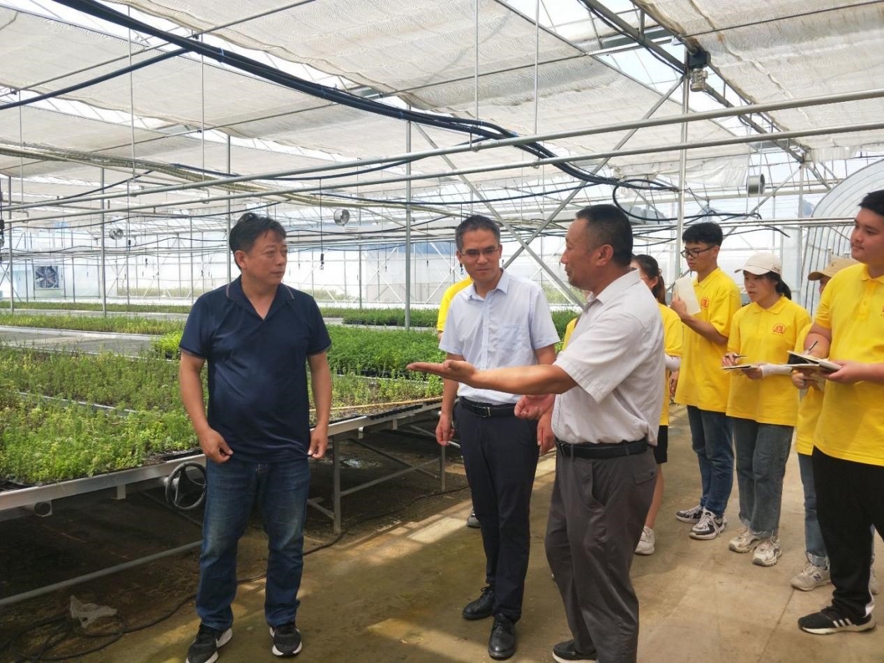 南阳理工学院三下乡社会实践,河南农业职业学院大学生三下乡