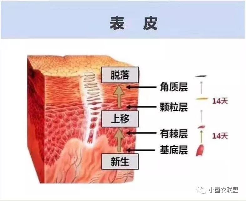 治愈脚气我有绝招,脚气太难治愈