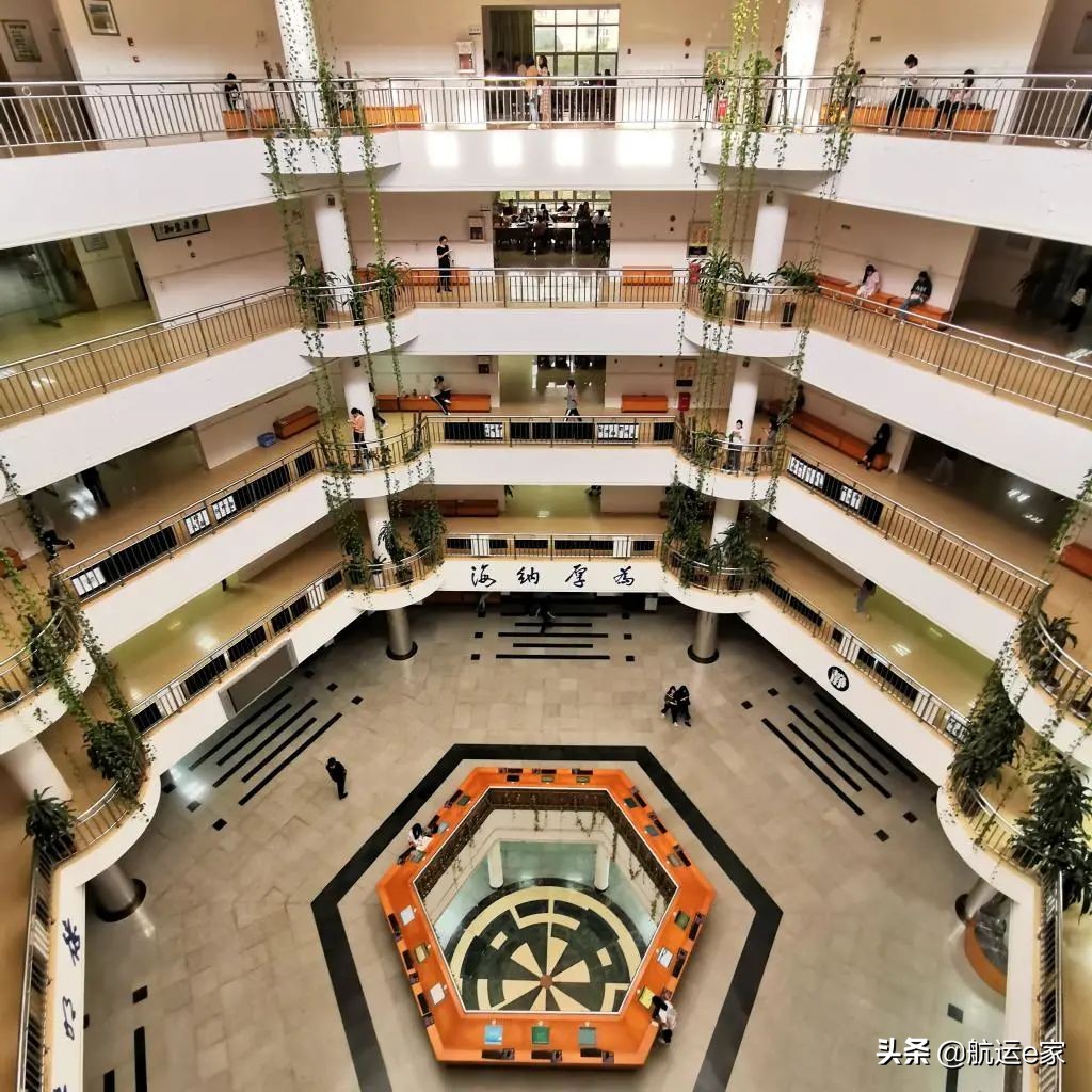 船员真实经历视频,海员船员的故事