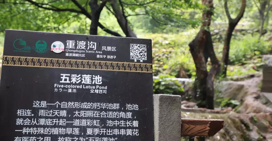 洛阳周边竟藏了个“北国小江南”！山水俱佳，堪称世外仙境