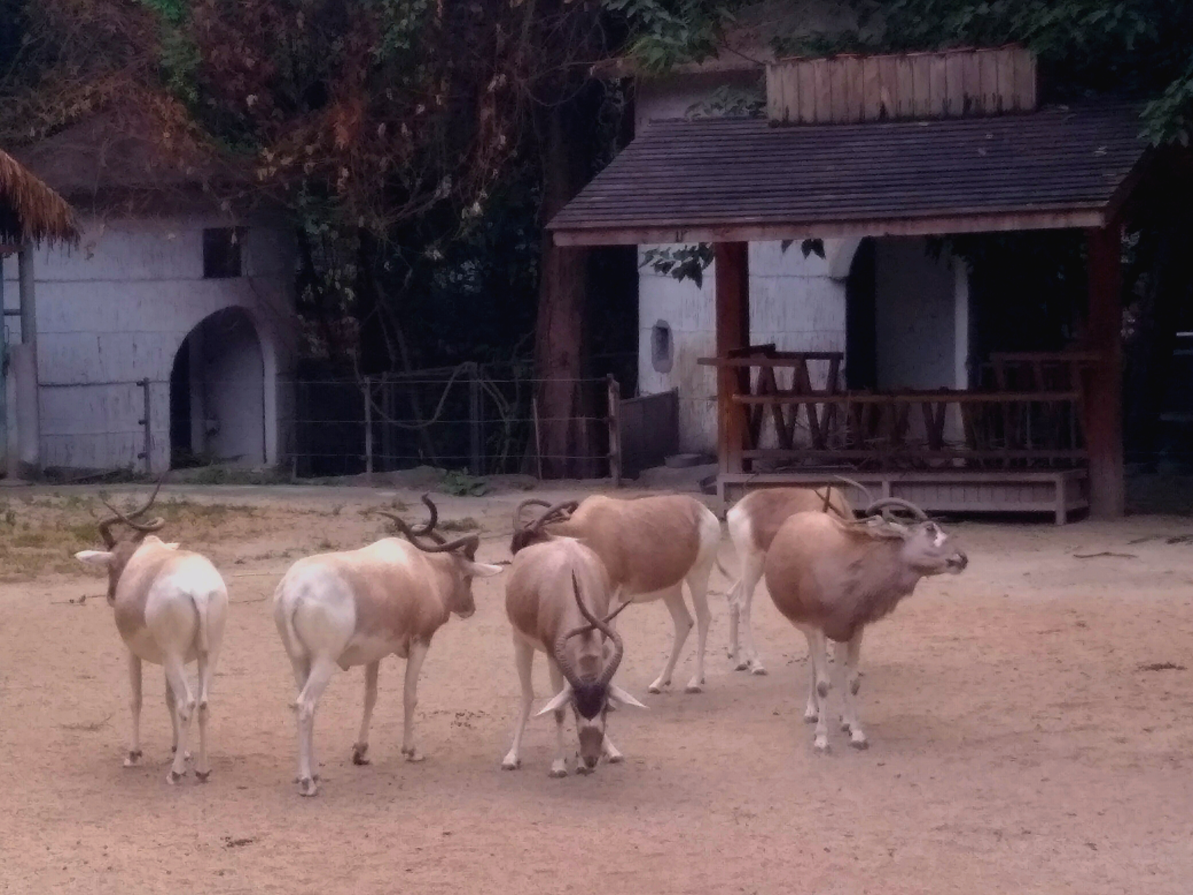 2022元旦广州有哪些好玩的地方,元旦广州哪里玩最合适