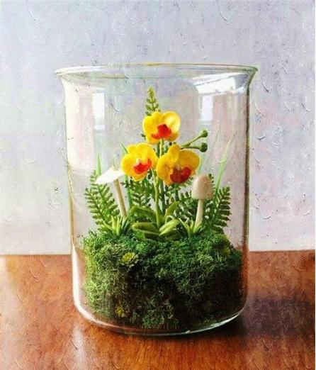 旧茶杯适合养什么,适合茶杯小盆栽