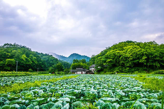 四川古蜀寻芳之幻梦朝天游玩攻略,都江堰古蜀寻芳