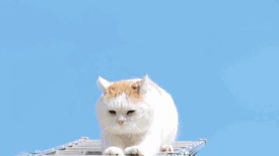 为什么要老家留套房看完就懂了,老家有没有必要留一套房子