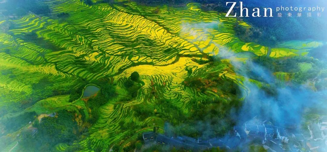 鑺辨湞鑺傝姳浠欏瓙,鑺辨湞鑺傝姳浠欏瓙宸℃父