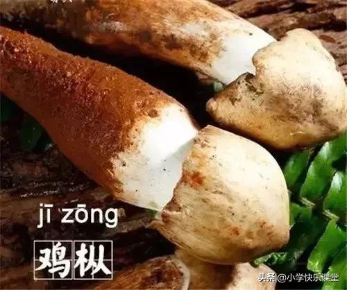 中国最难读的食物名字,最常见的食物名字