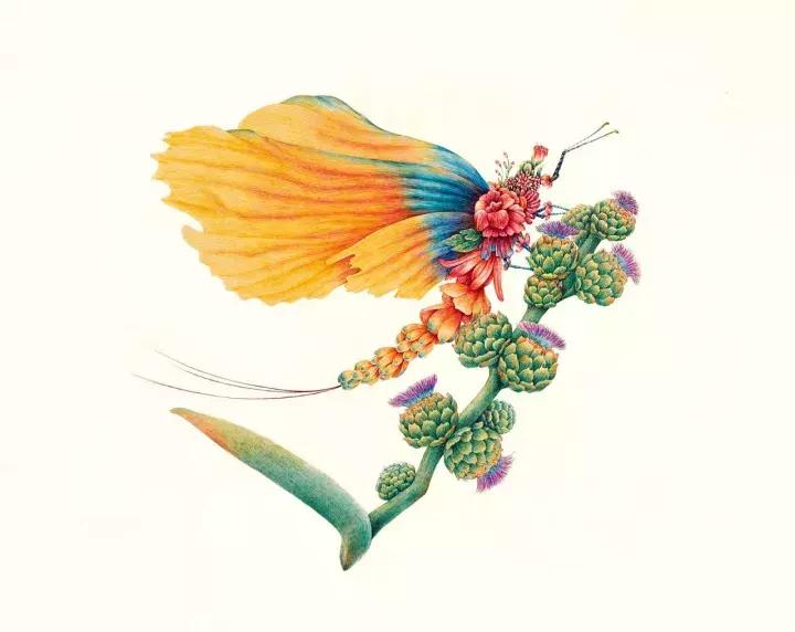 小央美钢笔画视频,极品五大钢笔画简直美爆