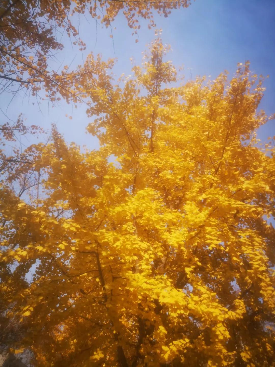 高考语文衔接题型解决方法,高二语文补救最佳方法