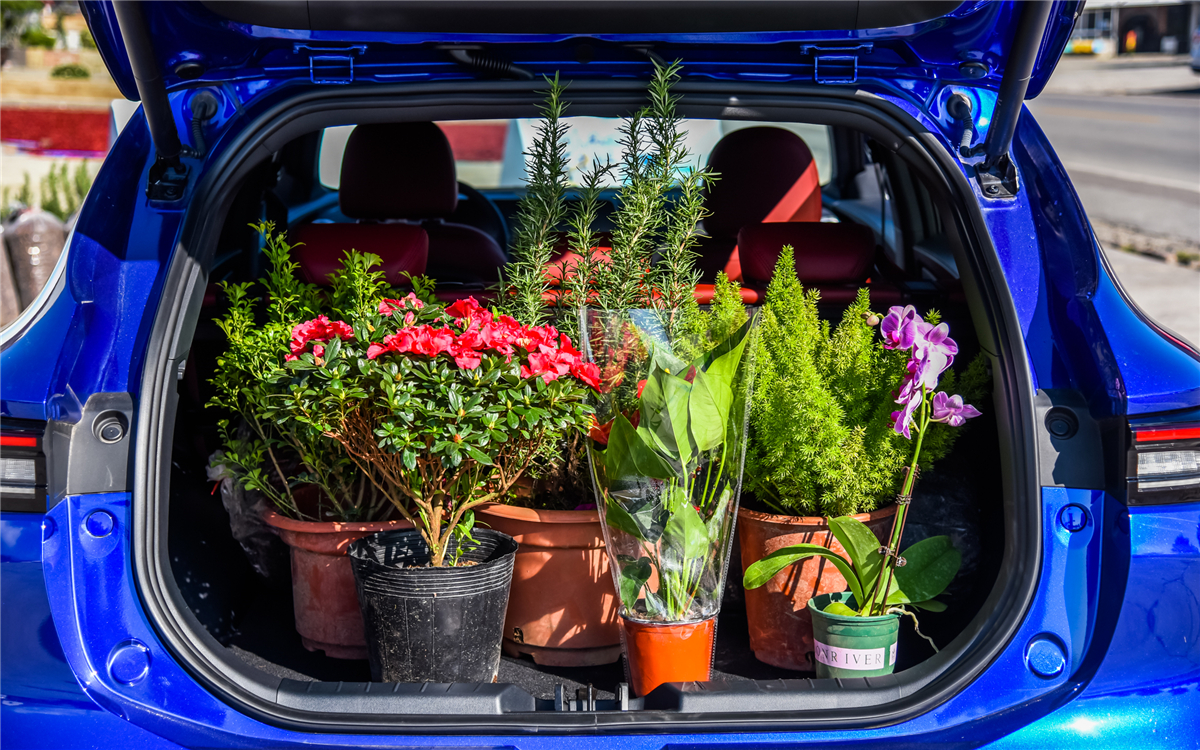 各suv真实油耗,真实油耗控制在七八个的国产suv