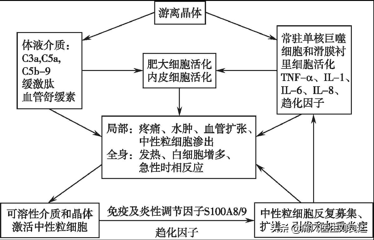 秋水仙碱可以缓解痛风吗,秋水仙碱对痛风有消肿止痛吗