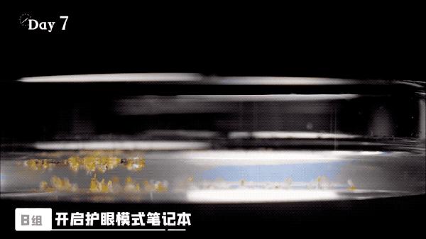 笔记本电脑抗蓝光和护眼屏的区别,防蓝光护眼电脑屏幕真的能有效吗