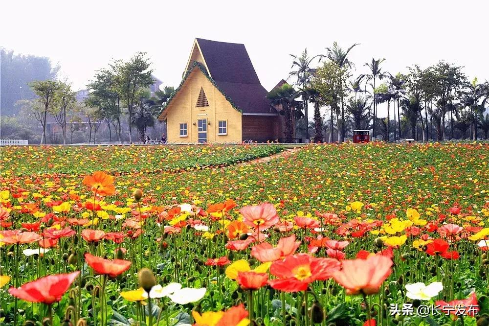 古河是哪里,这就是大运河原文