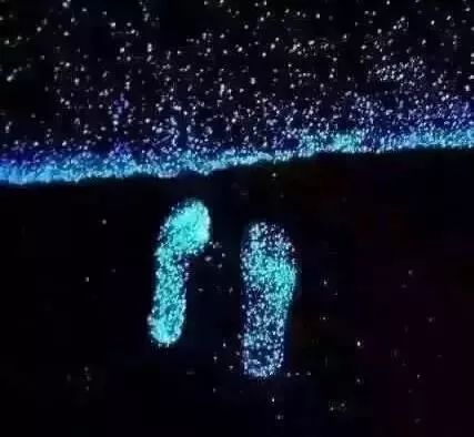 惠州双月湾君廷一线海景酒店推荐,惠州双月湾君廷度假酒店单人房