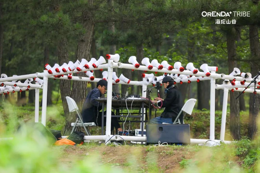 回望2020海坨耕耘路,以待2021山谷新美好