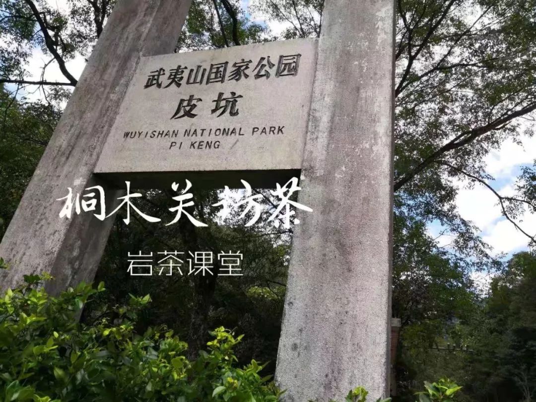 正宗金骏眉是什么样子,金骏眉都什么样