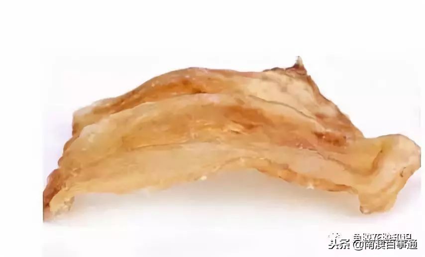 涨知识！鱼胶种类大全，不看亏大了！