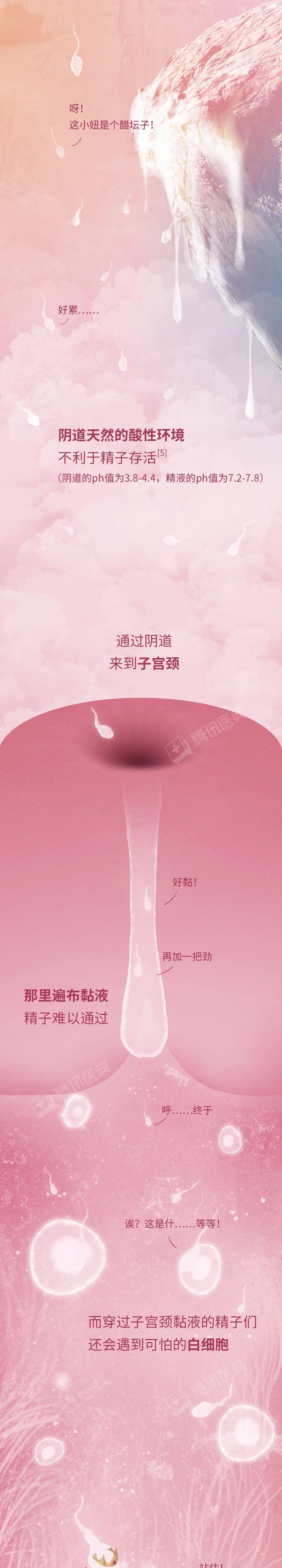 精子进入她身体里的24小时