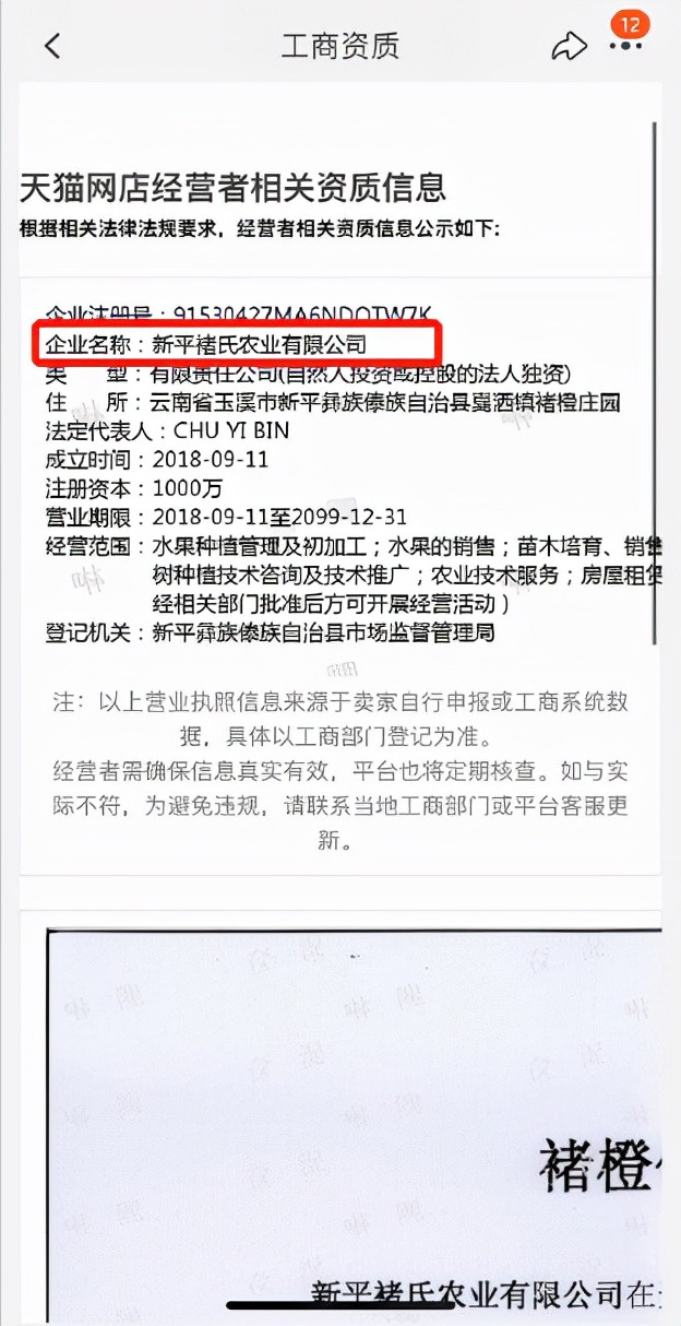 网络购物诉讼维权,网络购物的诉讼解决方式
