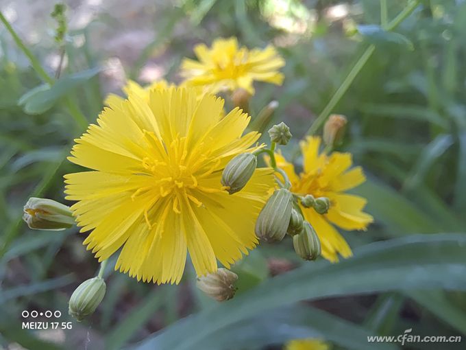 小白测评魅族17深度体验,魅族17显示5g网络还是4g