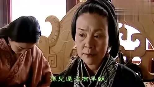 向经典致敬胡玫汉武大帝,汉武大帝导演胡玫采访