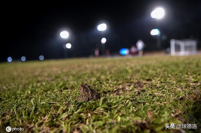 世预赛国足2比0菲律宾队,直播世预赛国足vs菲律宾