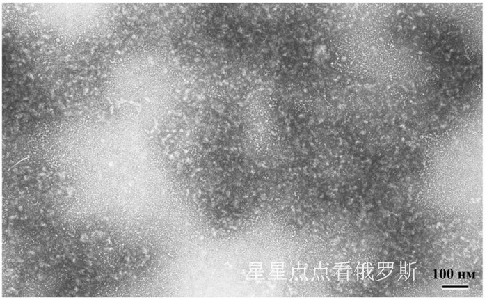 日本研究了一种人造皮肤,俄罗斯科学家激光缝合技术