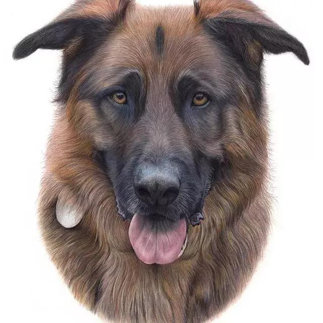 彩铅如何画得非常细腻,彩铅画的很好看零基础