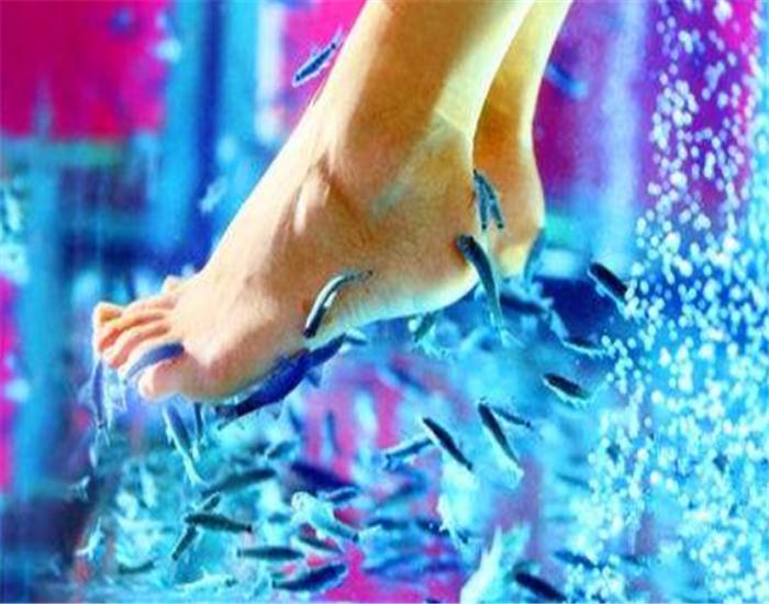 男子做鱼疗5分钟后鱼却全死了,鱼疗赔偿