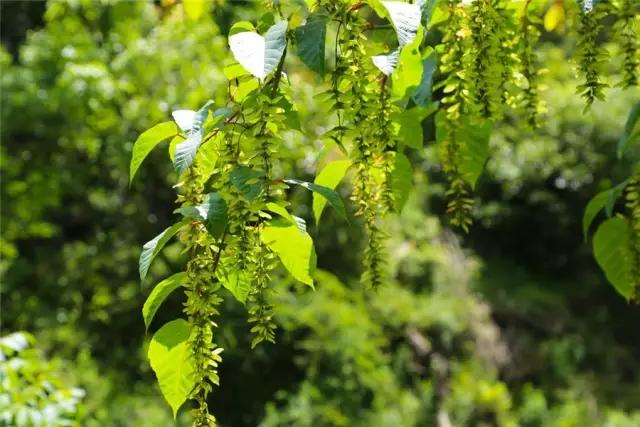 昆明周边60座山峰徒步,昆明徒步登山推荐看日落