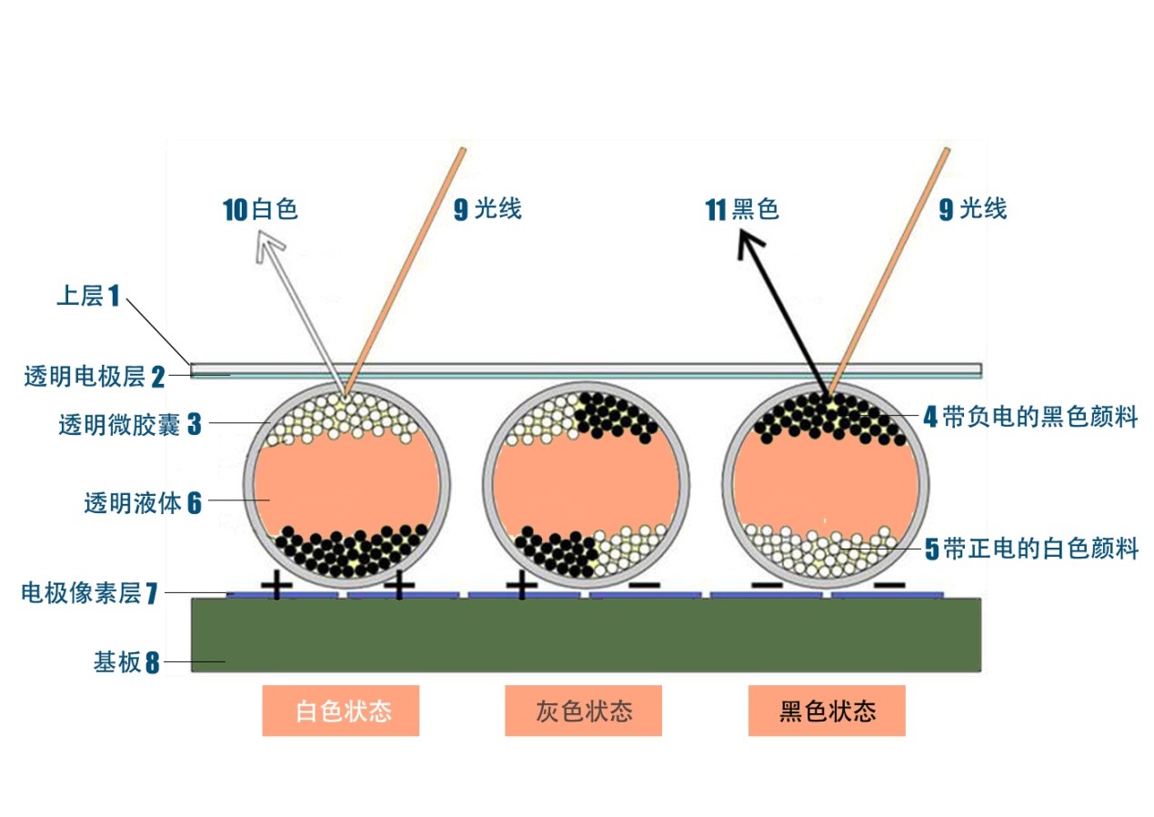 科普知识互联网的历史,科普电子科技知识视频