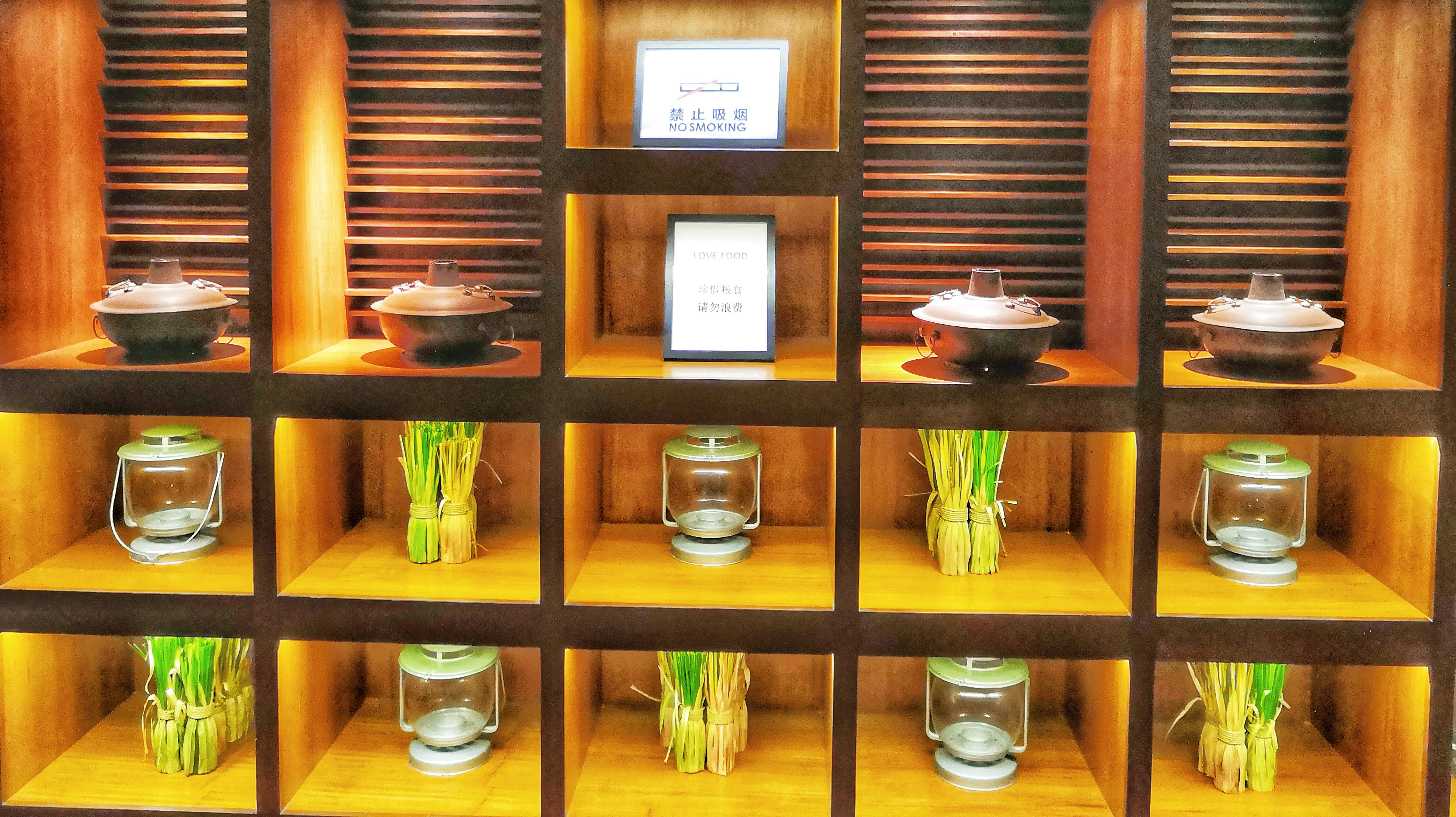 都是网红惹的祸,都是网红惹的祸完整版