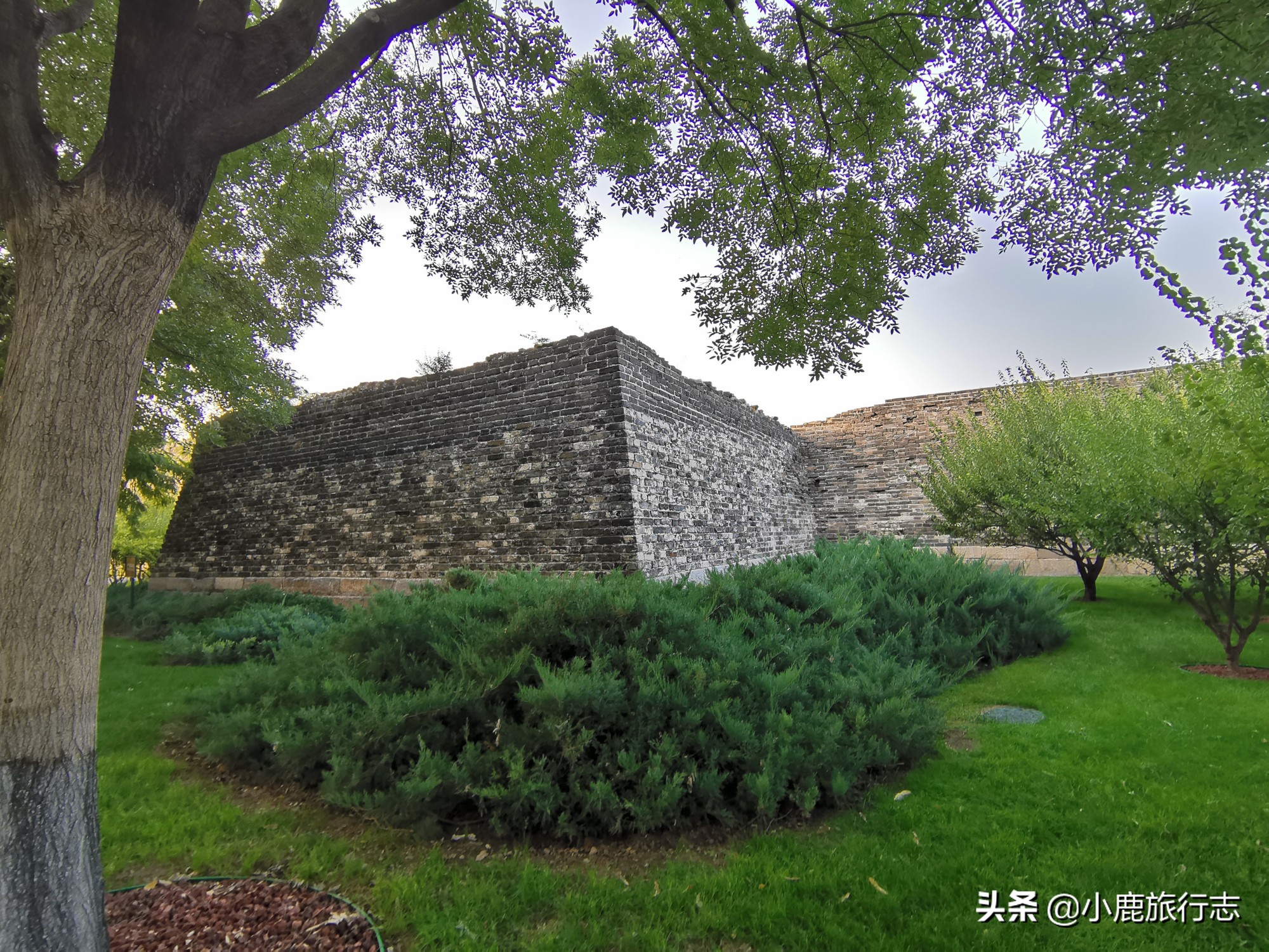 北京免费玩森林公园有哪些,北京森林公园一日游最佳攻略