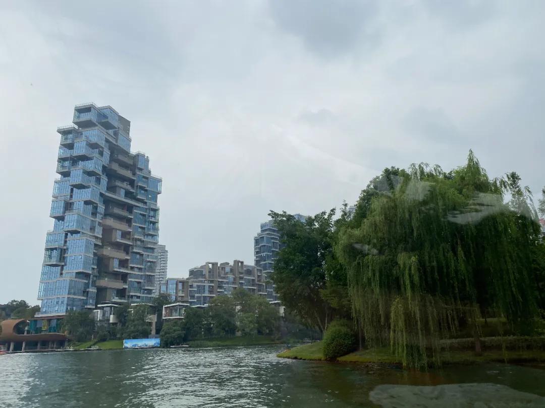 成都地价还会涨吗,成都地价为什么一直上涨