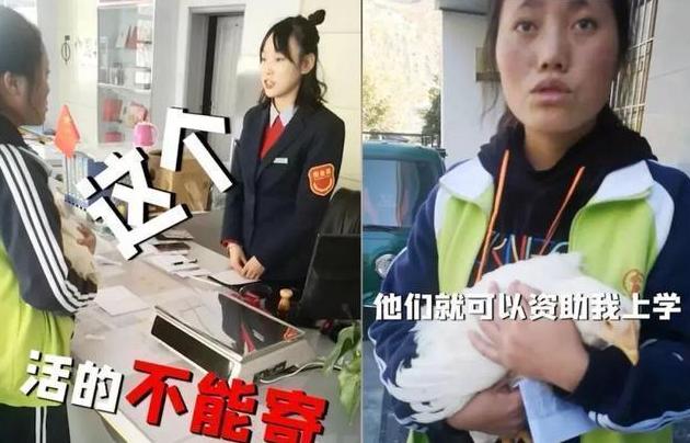 贫困女孩给马云寄老母鸡,山区女孩为马云寄鸡