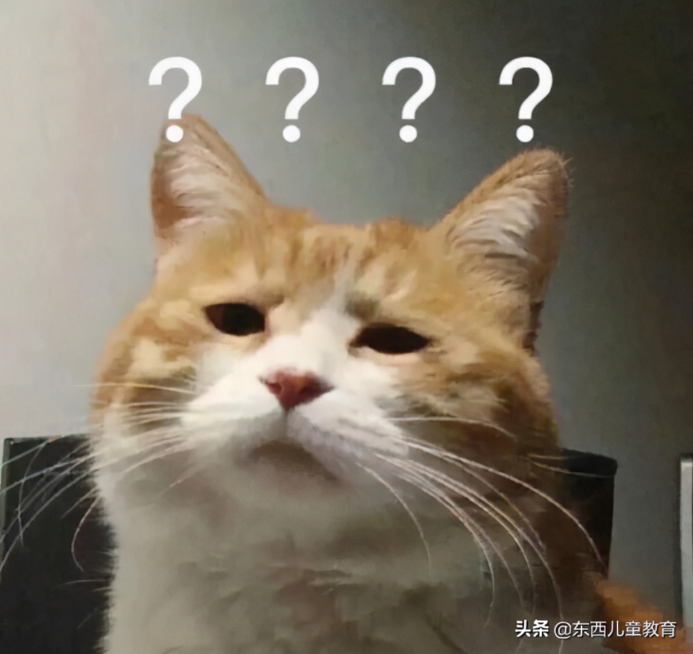 教育部给孩子看的教育电影,教育部推荐给孩子看的电影