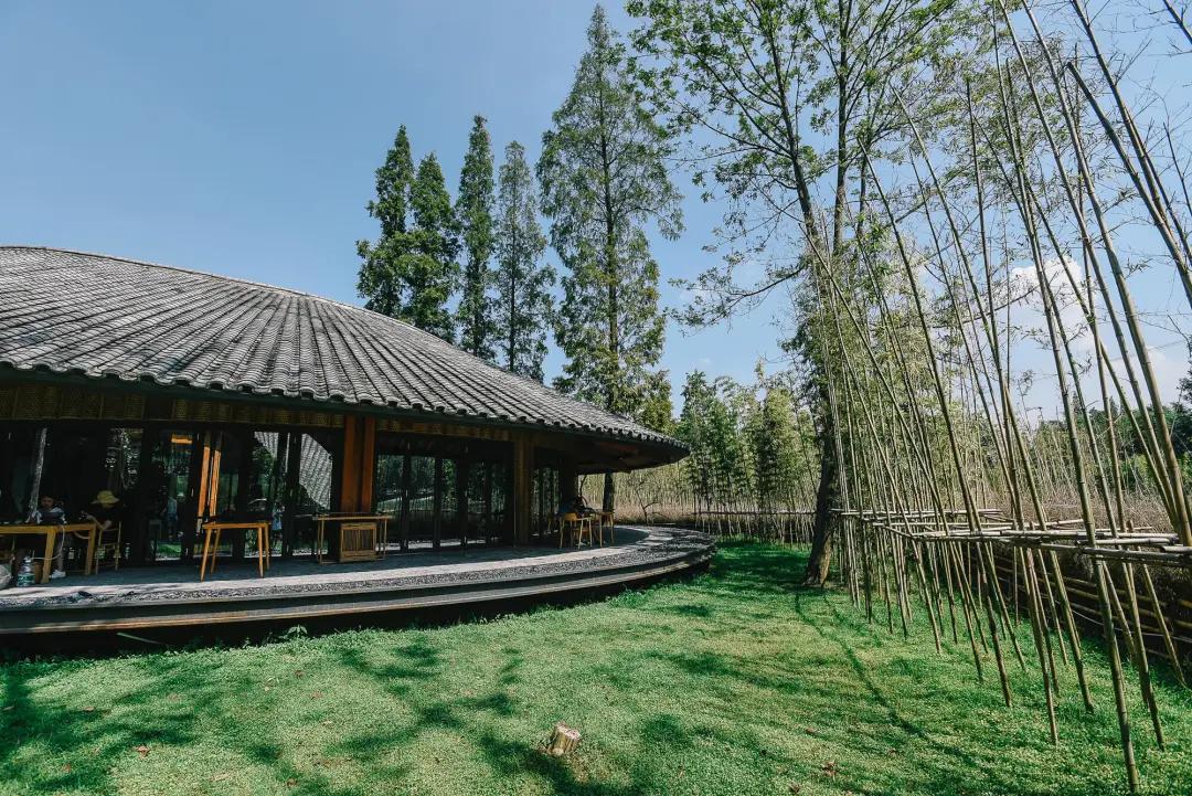 成都一座浪漫的城市,成都真是一个让人放松的城市