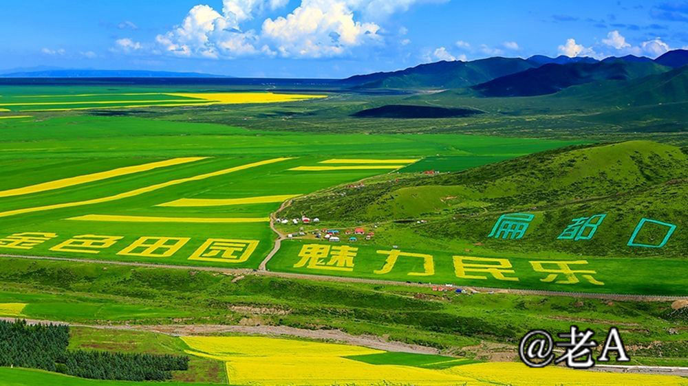 朋友们来张掖吧原视频,朋友来张掖吧