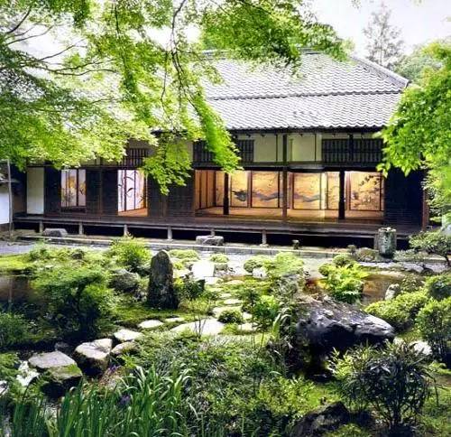 北方庭院室外耐寒植物,庭院驱蚊效果最好植物